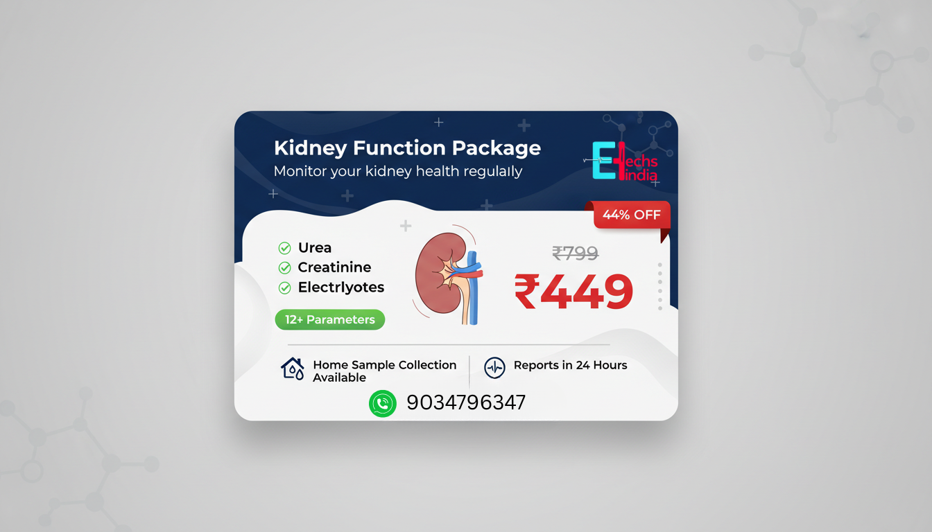 Kidney Function